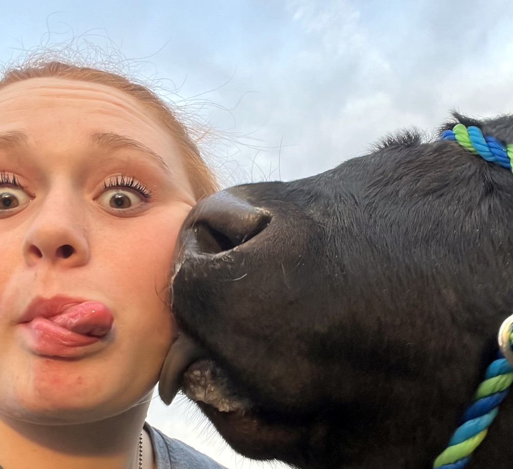 Girl and cow