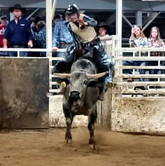 Girl on bull