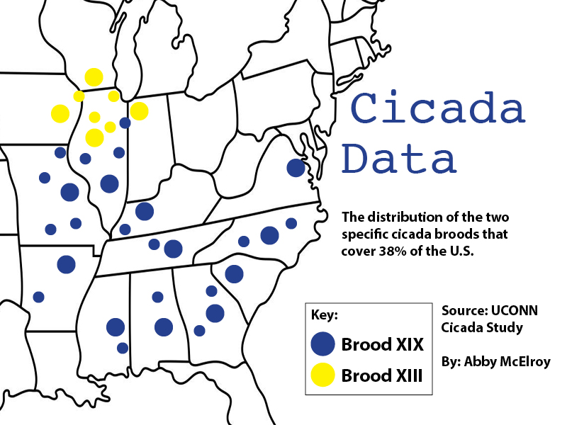 cicada data